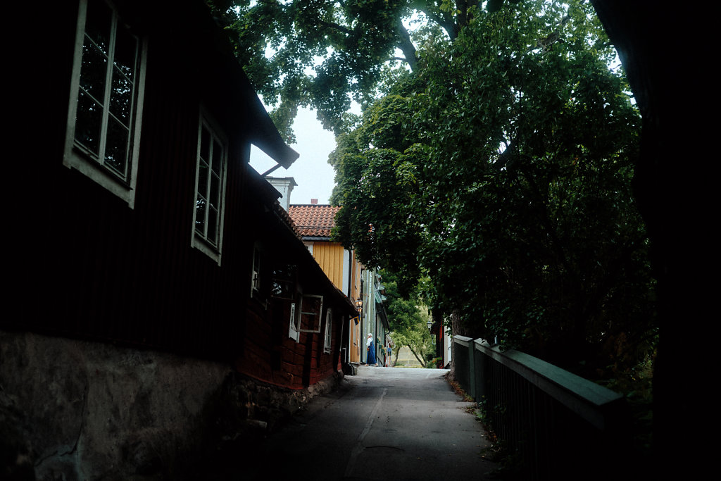 L1007666.jpg