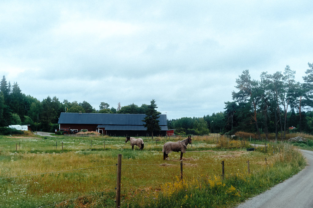 L1007708.jpg