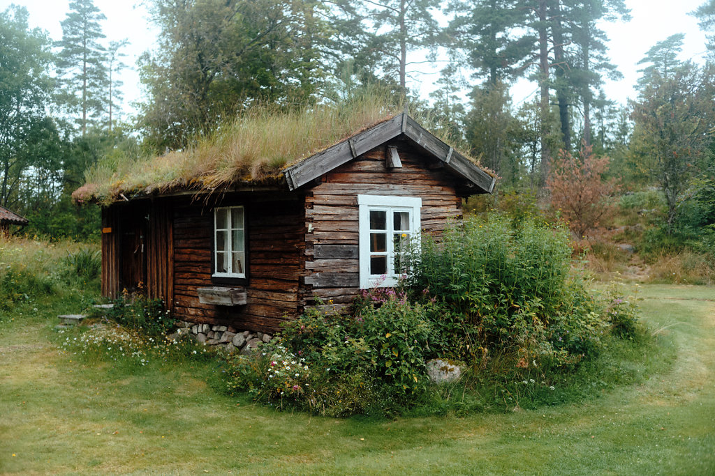 L1007749.jpg