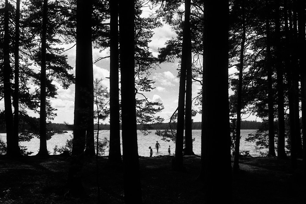 L1007781.jpg