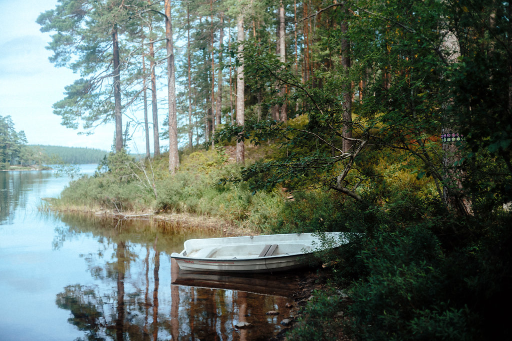 L1007801.jpg