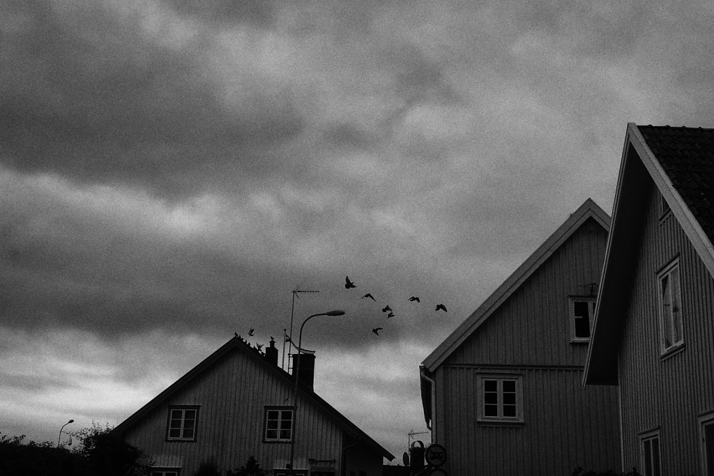 L1007837.jpg