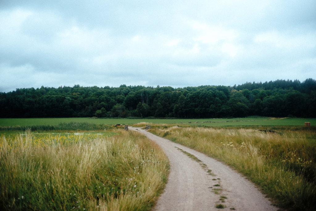 L1007693.jpg