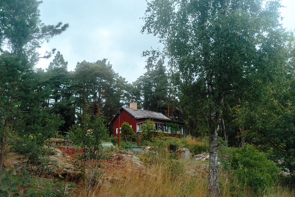 L1007710.jpg