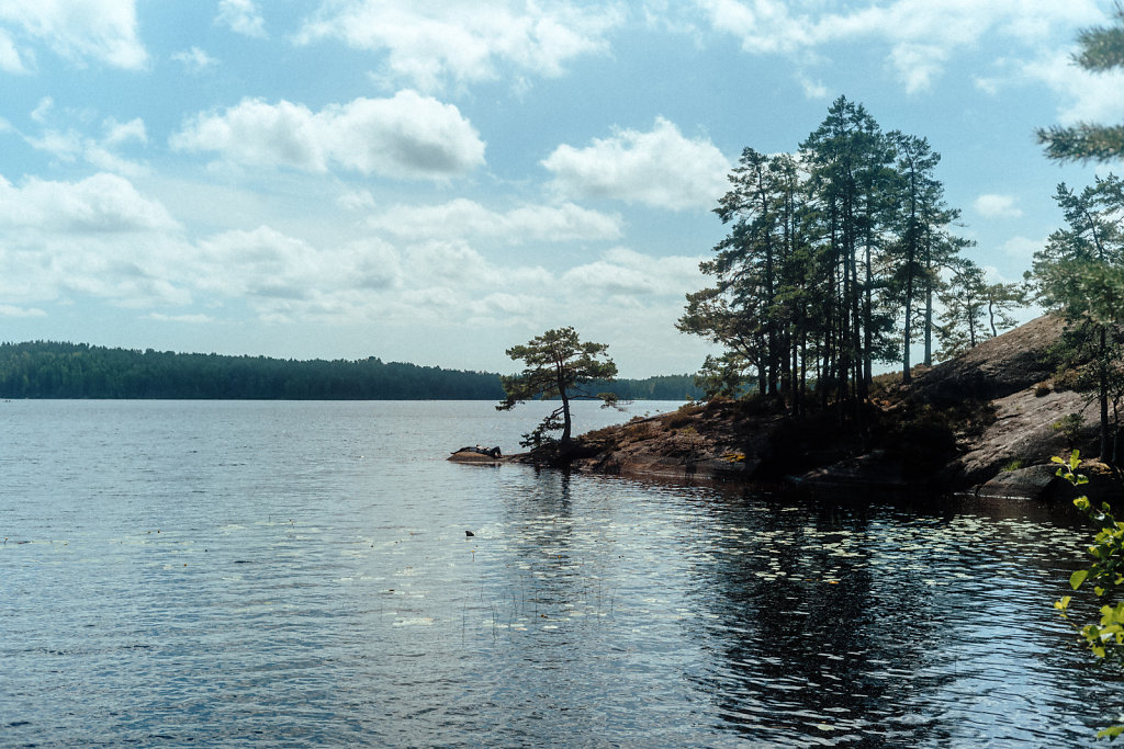 L1007784.jpg
